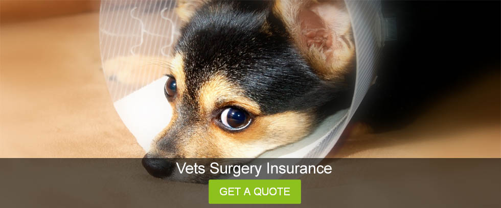 vets surgery insurance